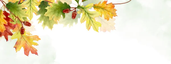 Watercolor abstract background autumn collection with seasonal leaves. Watercolor natural art, autumn banner perfect for header, web, invitations, or greeting cards with space for your text.