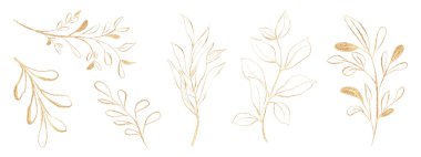 Beyaz arka planda izole edilmiş altın yapraklar serisi. Dekorasyon festivalleri, tebrik kartları, broşürler veya posterler için uygun.