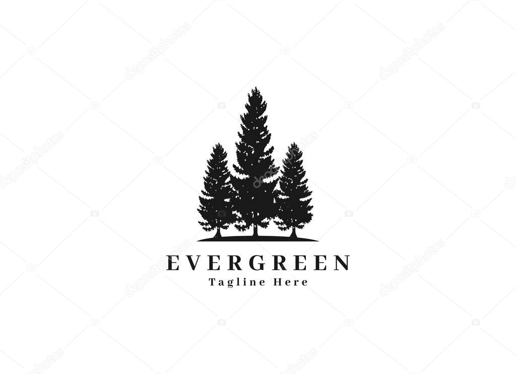 Rustic Retro Vintage cedar, cypress, larch, spruce, pine, pinus, evergreen, coniferous, conifer, fir, hemlock trees logo design