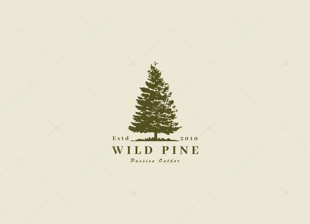 Rustic Retro Vintage cedar, cypress, larch, spruce, pine, pinus, evergreen, coniferous, conifer, fir, hemlock trees logo design