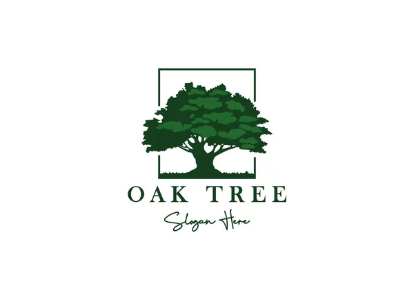 Oak Tree Residential Vintage Logo Design Vector — стоковый вектор