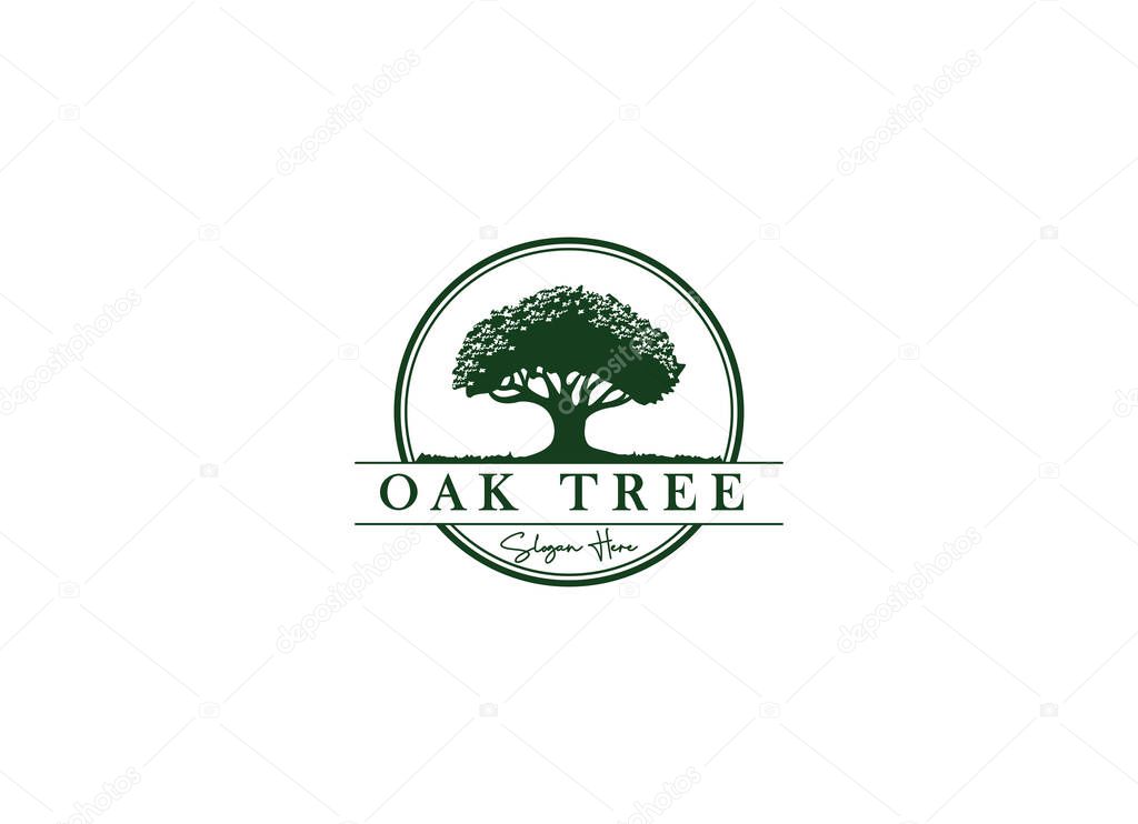 Oak Tree Residential Vintage Logo Design Vector