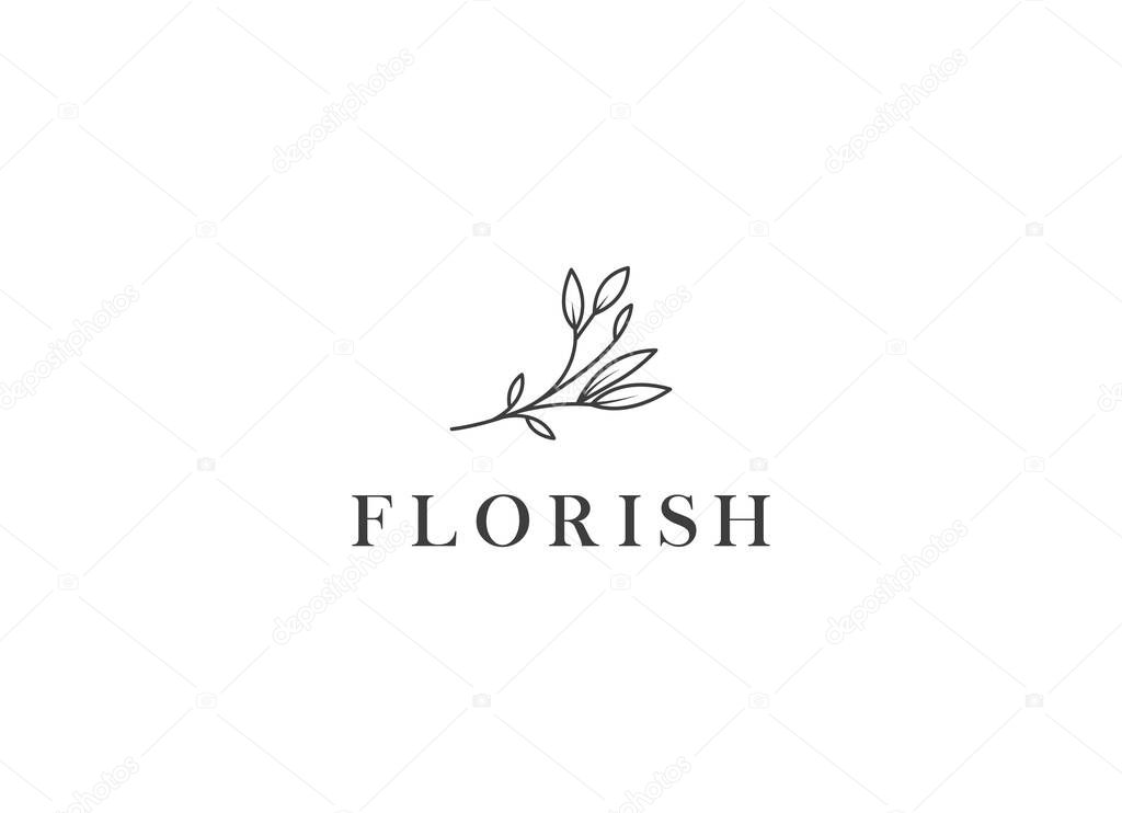Floral logo templates. Vector minimalistic logos. Rustic elegant logotypes - Vector
