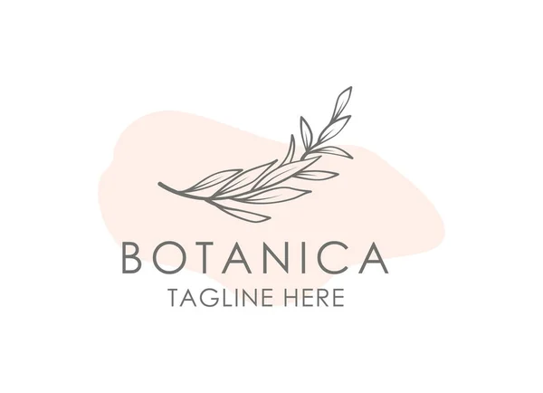 Logo Vectoriel Botanica Emblème Des Cosmétiques Biologiques Signe Produit Biologique — Image vectorielle