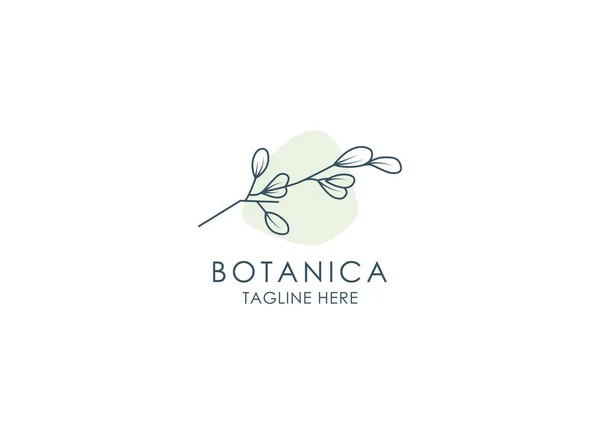 Logo Vectoriel Botanica Emblème Des Cosmétiques Biologiques Signe Produit Biologique — Image vectorielle