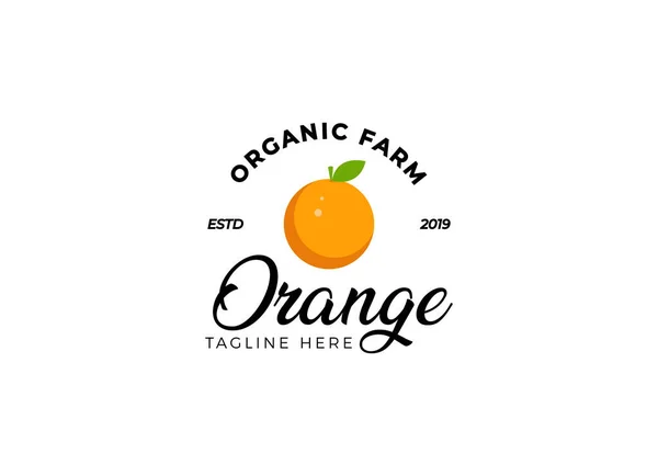 Logo Orange Juice Orange Fruit Vector Design Template Juice Logo — Stockový vektor