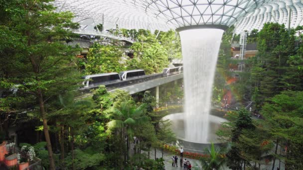 Singapur Singapur Feb 2020 Personas Asiáticas Viajeros Turísticos Cascada Cubierta — Vídeos de Stock