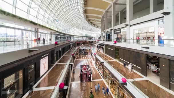 Singapura Singapura Fevereiro 2020 Tempo Lapso Pessoas Viajantes Turísticos Caminham — Vídeo de Stock