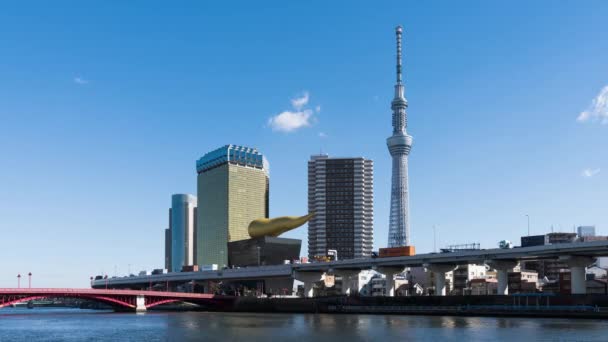 東京都 2019年1月9日 浅草地区の高速道路における自動車交通のタイムラプス東京スカイツリーの街並みを表示します アジア観光のランドマーク アジア旅行や日本の都市生活の概念 — ストック動画