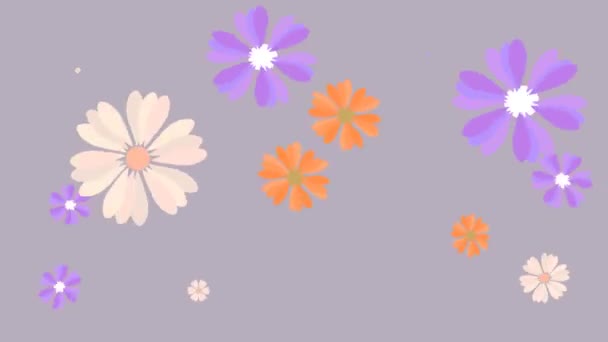 Bildschirmschoner Mit Bunten Rotierenden Blumen Ohne Hintergrund Mit Alphakanal — Stockvideo