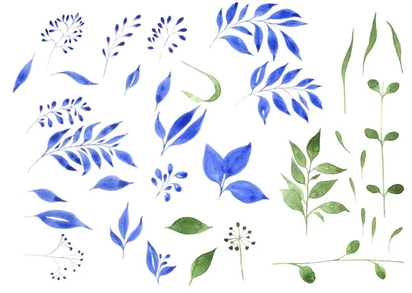Σύνολο Από Πράσινα Και Μπλε Κλαδιά Ακουαρέλας Φύλλα Για Σχεδιασμό — Φωτογραφία Αρχείου