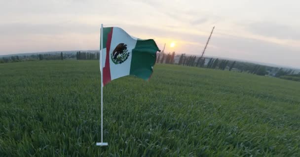 Σημαία Μεξικό Σύμβολο Της Κυριαρχίας Και Του Πατριωτισμού Ύφασμα Υλικό — Αρχείο Βίντεο