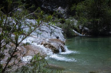 Rio Meksika 'da Meksika' nın avokado Puebla eyaleti olarak da bilinen gölgeli bir turkuaz cennetinde koşuyor.