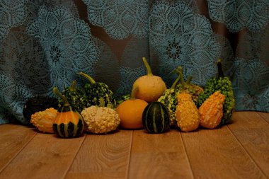 Perde arkasında dekoratif balkabakları