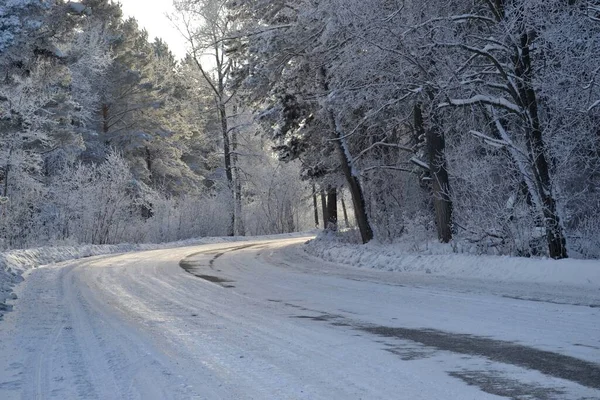 Road Winter Forest — Stock Photo, Image