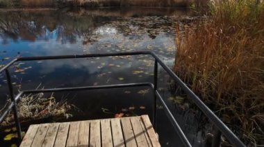 Pond Water Lilies flyover in fall