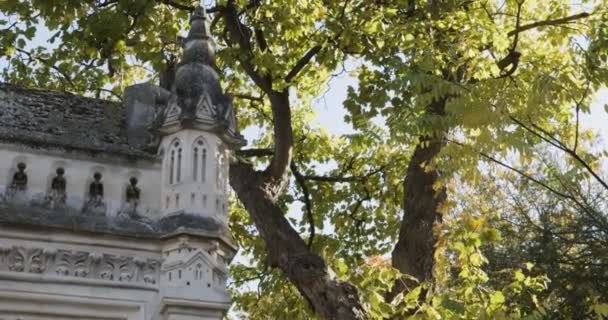 Esquerda deslizante tiro árvore frondosa para cripta gótica no cemitério de Paris — Vídeo de Stock