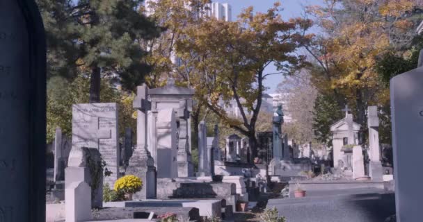 Lápidas, cruces, marcadores, árboles de hojas otoñales — Vídeo de stock