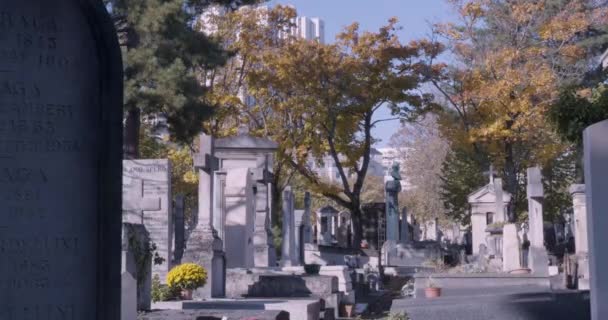 Pan a la derecha del cementerio urbano con lápidas, cruces, flores, árboles frondosos — Vídeo de stock