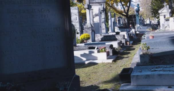 Urban cemetery headstones pull back perspective view along grassy path — Stock Video