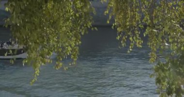 Büyük turist botu kareye girerken nehir ağaçlarının arasından bakın