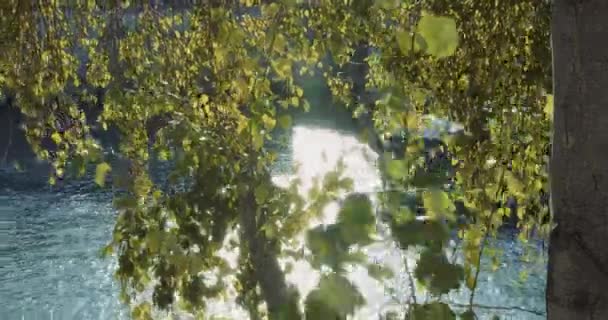 Вид через деревья на освещенную солнцем реку с большой лодкой, входящей в кадр — стоковое видео