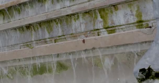Strzał patelni od zbliżenia kolumny pokazujący pogorszenie się stanu kamienia do wody kaskadowo schodzącej po zielonych barwionych schodach — Wideo stockowe