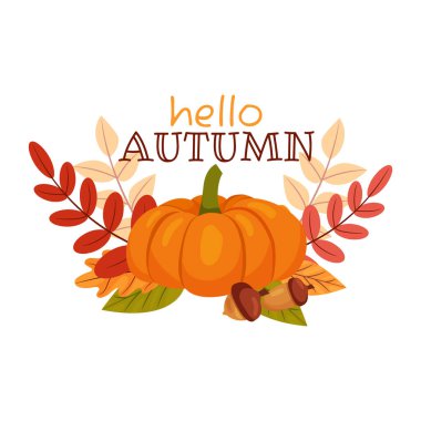 Balkabağı, yapraklar, meşe palamudu ve harfli merhaba sonbaharı. Şükran Günü. Kartpostallar, afişler, el ilanları ve sonbahar temalı daha fazlası için vektör illüstrasyonuName.