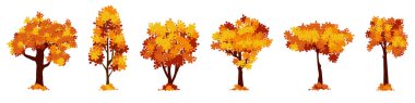 Set of cartoon autumn tree isolated on a white background. Vector element for fall landscape, autumn cards, kids books.