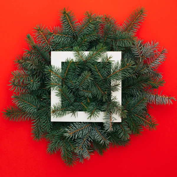 Mutlu Noeller ve sonsuz yeşil ağaç dalları yaratıcı planıyla mutlu yıllar. Doğa yassı konsept.