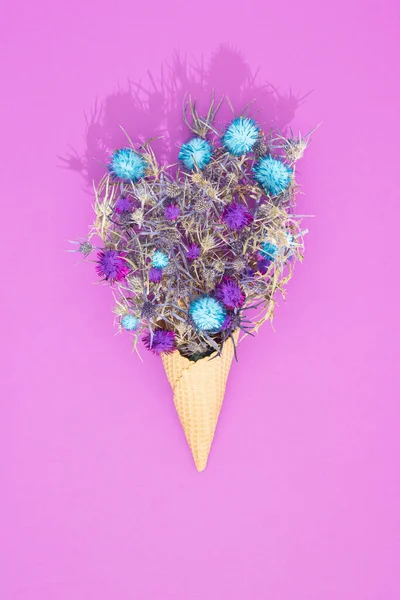 Colorful Pom Poms Spiny Amethyst Sea Holly Ice Cream Cone — Fotografia de Stock