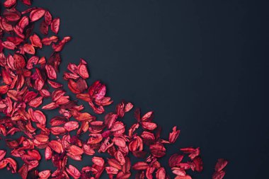 Kurumuş çiçeklerin aromatik karışımı. Siyah arka planda bir demet kuru çiçek. Romantik Sevgililer Günü kompozisyonu. Düz yatıyordu. Aşk konsepti.