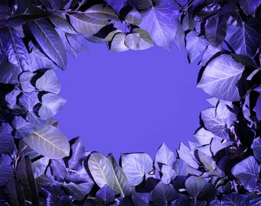 Taze yeşilden bir ultra Violet arka plan bırakır. Tasarımınız için yeşil dinamik zemin.