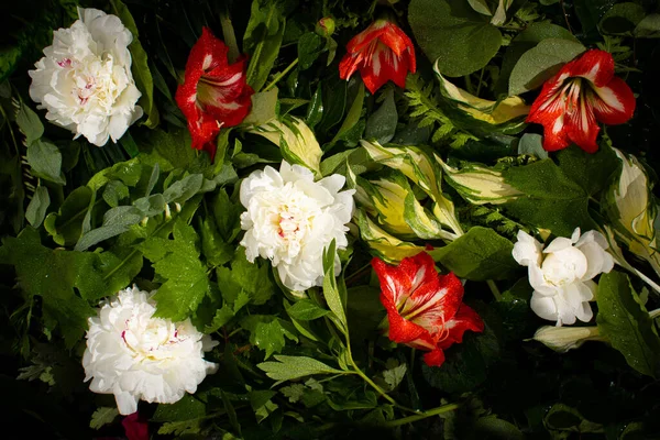 Kreatywny Układ Kwiatów Liści Leżeć Płasko Koncepcja Natury Kwiatowa Kartka — Zdjęcie stockowe