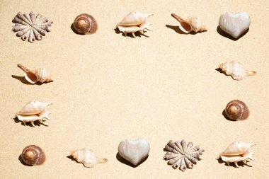 Kumsaldaki deniz kabuklarından yapılmış düzenli bir desen. Minimum düzlük. Yaz tatili geçmişi.