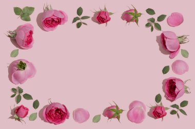 Yaratıcı çiçek kompozisyonu. Pastel pembe arka planda pembe gül çiçeklerinden yapılmış eski bir çerçeve. Minimum düzlük.