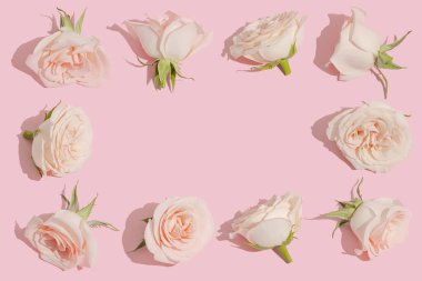 Yumuşak pembe güllerden yapılmış yaratıcı bir çerçeve. Uzayı kopyala Tek renkli renkler.