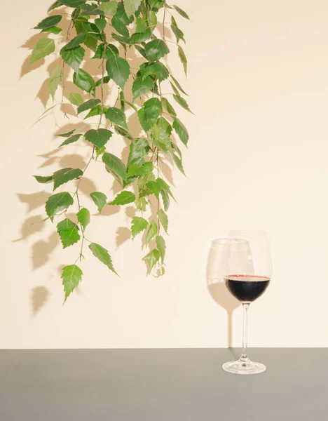 Eleganter Sommerlicher Mediterraner Hintergrund Glas Roter Weinreben Und Grüner Blätter — Stockfoto