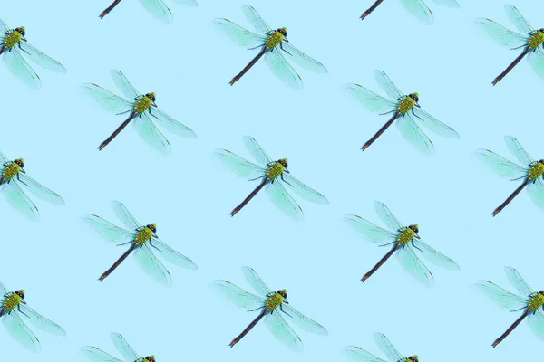 Seamless Pattern Colorful Dragonflies Pastel Blue Background Spring Summer Nature — Stockfoto