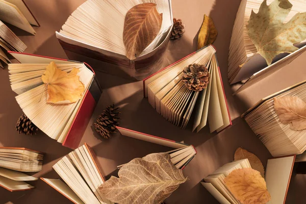 Creative Trendy Pattern Old Books Fallen Leaves Pine Cones Aesthetic — Stockfoto