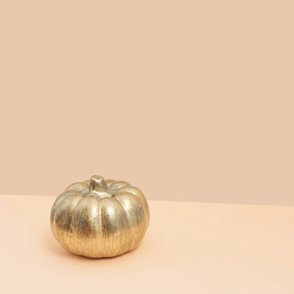 Autumn aesthetic background with golden pumpkin. Postcard or banner for Thanksgiving or Halloween in a minimalist style, trendy pastel colors.