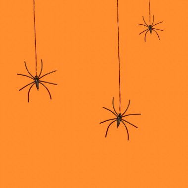 Spiders coming down one line of their web. Halloween background in a minimalist style, trendy colors.
