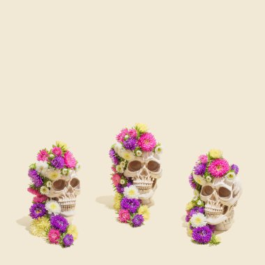 Pastel bej arka planda renkli çiçekli üç gerçekçi insan kafatası. Estetik Meksika Ölüler Günü (Dia De Los Muertos) veya Cadılar Bayramı konsepti.
