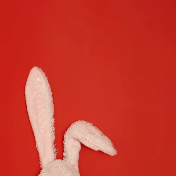 柔软毛茸茸的兔子耳朵在鲜红的背景上 中国农历新年的标志 兔子年 祝2023年快乐 — 图库照片