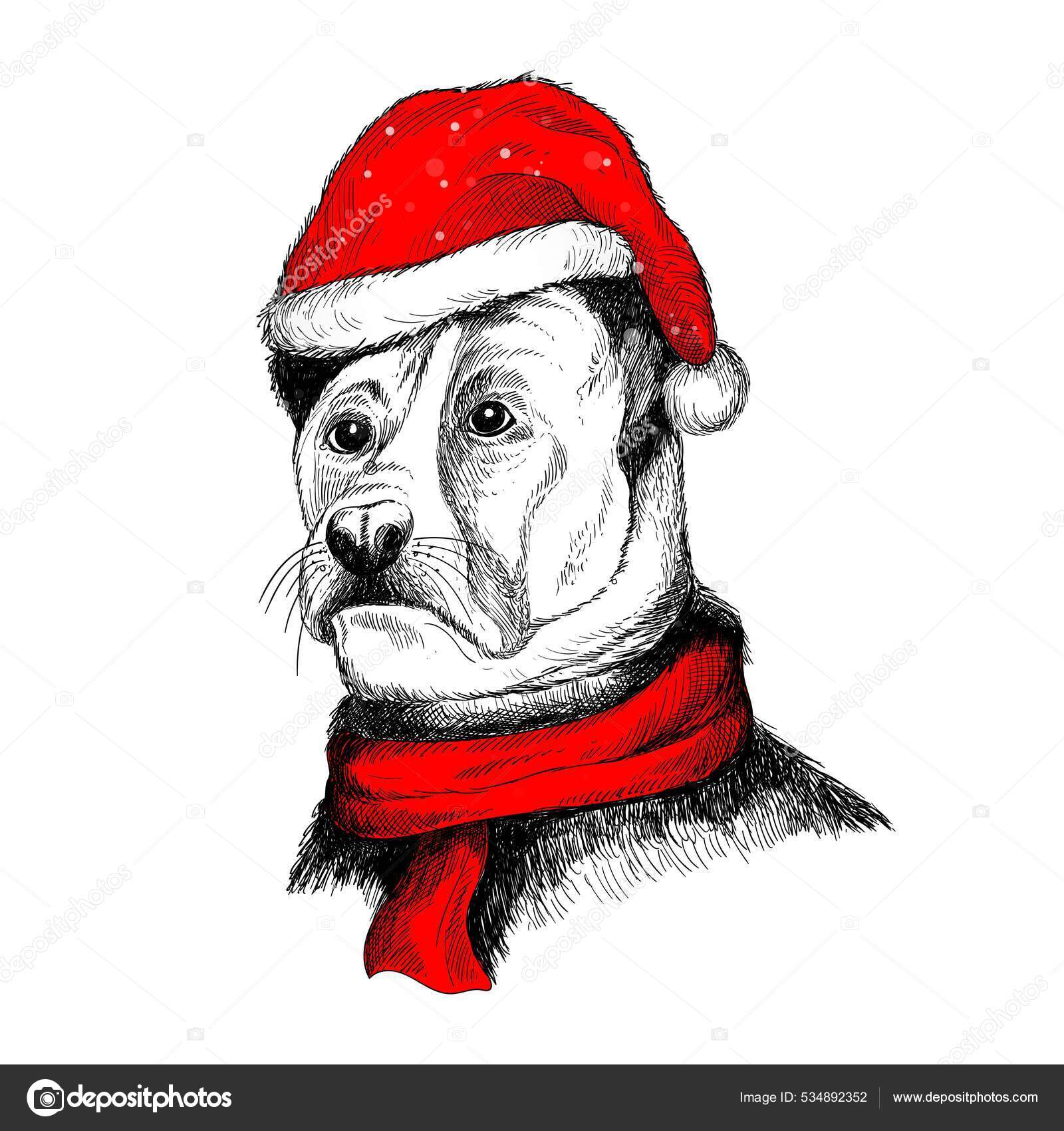 Hand Draw Dog Santa Hat Merry Christmas Card Background Stock Vector by