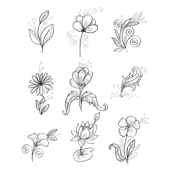 Modern Realistic Hand Drawn Sketch Flowers Set Design — Stock Vector