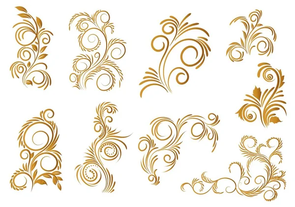 Hermoso Diseño Artístico Decorativo Floral Conjunto Oro — Vector de stock