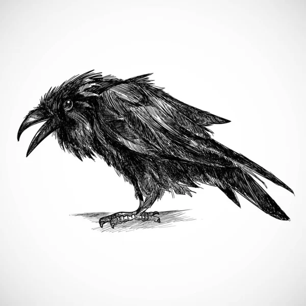 Dessin Main Dessin Corbeau — Image vectorielle