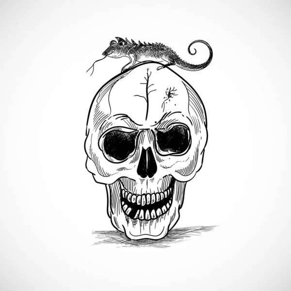 Hand Draw Skull Sketch Design — Stockvektor