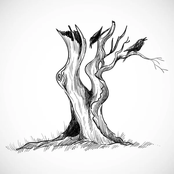 Spooky Halloween Tree Sketch Design — Stock vektor